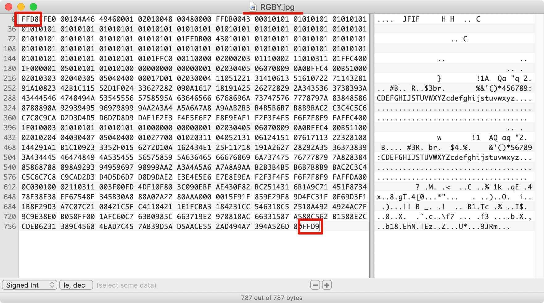 RGBY-Binary-Code