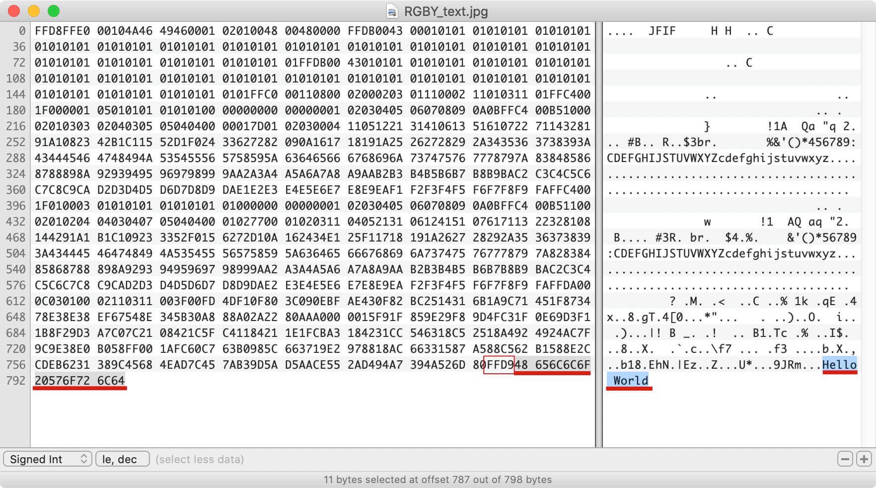 RGBY_text-Binary-Code